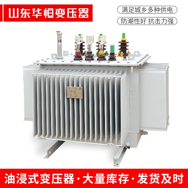 S13-10000/35周至周至周至电力变压器